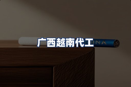 广西越南代工